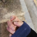 네일브와 - 유성구 죽동로297번길 32 | 네일브와