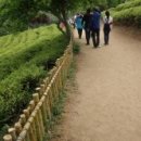 (주)진로발효