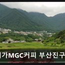 세븐일레븐 부산진구청점 | 부산 진구 맛집 메가MGC커피 부산진구청점 가성비와 음료 만족도 높아요