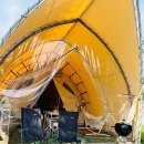 스테이그린 이미지