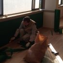 배봉탁구클럽
