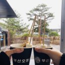 [속초여행 1박2일 코스] 여유로운 1박 2일_추천 관광 명소 (feat.영금정 & 속초맛집)
