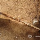 중옥리 서옥고분군 이미지