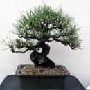 진장농장 이미지