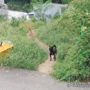 방울산등산로 이미지