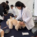 하스펫탈동물병원 이미지