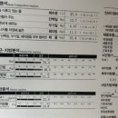 사파동185 이미지