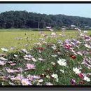 아름다운인연 이미지