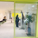 서울아산365소아청소년과의원 이미지