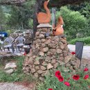 야생초마을아미골 이미지