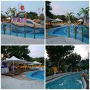 제이나니 이미지