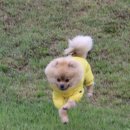 까망봉다리 네이버블로그