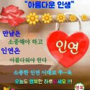 정(情) - 사랑과 이미지