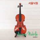 바이올린 이미지