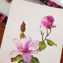 [백석]수채화&보타니컬 이미지