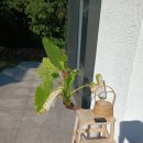 스테이두모 이미지