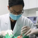 탄탄치과의원 이미지