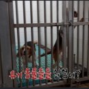 동원동물병원 이미지