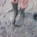 몽산포 송림 | 아이들과 함께 태안 몽산포해수욕장으로 떠나는 갯벌 체험 여행 후기