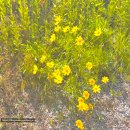 단양소백농협 본점 이미지