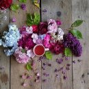 산들바람 이미지