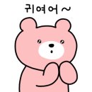 리베경양식