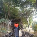 남해커플 이미지