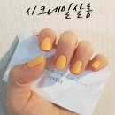 시크네일살롱