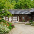전통조경설계자연 이미지