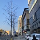 솔재사진클럽 | 청담 키즈카페 강추｜캘리클럽, 아이들 몸놀이 하기 좋은곳 강남키즈카페 제일 좋았어요!