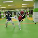 가촌코리아태권도장 이미지