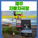 영화자동차 | 제주애견동반 야간 나들이 자동차극장 영화 좀비딸 후기