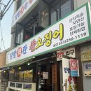 무진장소방서 | [대구/삼덕] 봄 제철은 도다리지,, 대구 산지직송 자연산 해산물 팔팔회관 산오징어 내돈내산 방문기