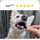 큐어올