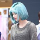 초록미용실 네이버블로그
