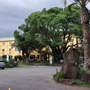 천주교 순례길 - 하논성당길 이미지