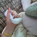 푸른정형외과의원 이미지