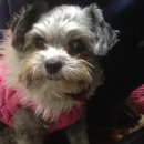 하나헤어샵 이미지