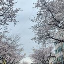 우리동네 한식분식