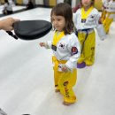 태권멘토스쿨 이미지