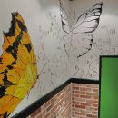 나비화장실 이미지