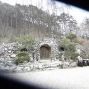 푸른산농원 이미지