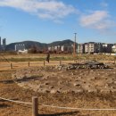 창원 진동리 유적 이미지