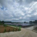 성근 태양광발전소 이미지