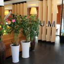 꽃마름 진주 가호점 이미지