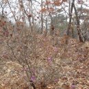 옥산회관 이미지