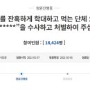 낄낄고양이 아시아경제