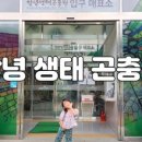 부잣집보쌈 이미지