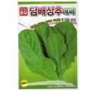 씨앗