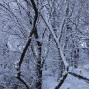 우장산근린공원 이미지